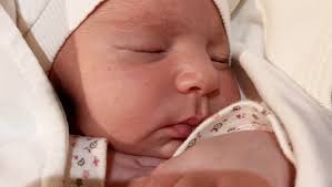 Fundraiser for Talal Hamdia by Ola Ferwana : Urgent Appeal: Save Ola'  family evacuate Gaza war