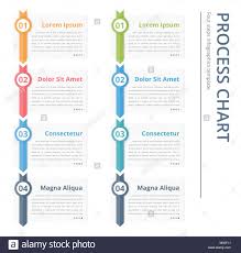 vertical process chart flow chart template infographics