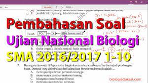 Soal ini merupakan soal tryout un sma 2017 oleh dinas pendidikan provinsi dki jakarta dan tangerang selatan beberapa hari yang lalu. Pembahasan Soal Ujian Nasional Biologi Sma 2016 2017 1 10 Youtube