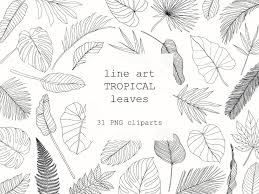 Tropical Line Art Leaves Clipart Botanical Illustration Black Etsy In 2021 Botanical Illustration Black And White Line Art Botanical Illustration