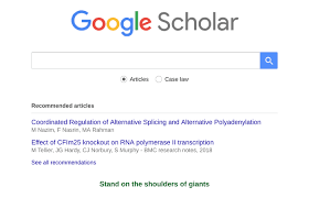 Doorzoek veel verschillende vakgebieden en bronnen: How To Use Google Scholar The Ultimate Guide Paperpile