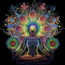 Profile for Karina Toledo