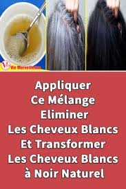 Appliquer Ce Melange Eliminer Les Cheveux Blancs Et Transformer Les Cheveux Blancs A Noir Natur En 2020 Remede Pour Cheveux Cheveux Blancs Coloration Naturelle Cheveux