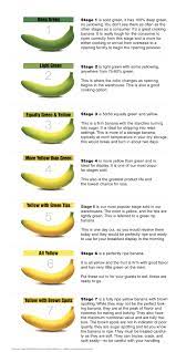 Banana guide