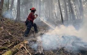 The latest update of the bc wildfire service mobile app allows users to enable push notifications for posts on the @bcgovfireinfo twitter feed and other current wildfire information. Prince George Battling Three Wildfires Of Note Prince George Citizen
