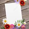 We can custom cut our papers into any size, check out our custom cut paper. 1