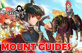 Guide to fast mabinogi money for beginners. Mabinogi Fantasy Life Mount Information Find Your Thing