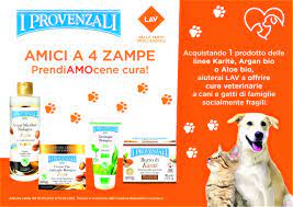 Per questa occasione abbiamo scelto le frasi più belle sui cani 1/9 Ixth Qj Yqqukm