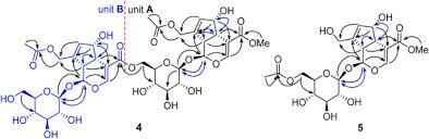Image result for Morinda asteroscepa