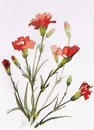 Image From Http Www Cl Cam Ac Uk Km10 Jmb Expo Data Jmb Paintings 2005 7271 Carnations And Bu Floral Watercolor Flower Painting Watercolor Flowers Paintings