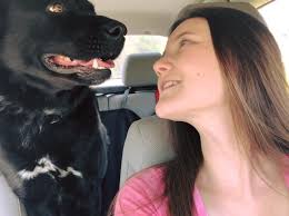 Why do all labs have such a sad expression? 🙄😟