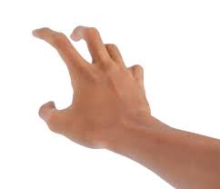 Image result for hands