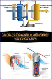Does Your Heat Pump Work As A Dehumidifier Read On To Know Heat Pump Dehumidifiers Dehumidifier Basement