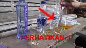 Maybe you would like to learn more about one of these? Milagros Dan Produk Lainnya Mana Yang Lebih Baik Agen Milagros Indonesia