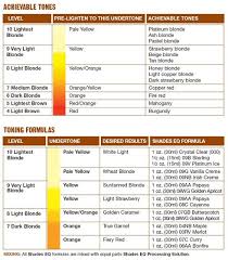 Shades Eq Color Mix Chart Hair Color Tips Tricks