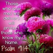 Purple flowers meaning in bible. Jesus Love Quotes With Flowers Quotesgram