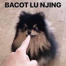 Macam mana nak print bank statement bank rakyat; Meme Indo