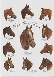 Pin On Horse Famous