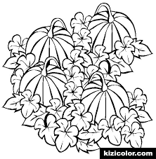 Pumpkin patch coloring pages getcoloringpages for pumpkin patch. Pumpkin Patch Free Print And Color Online