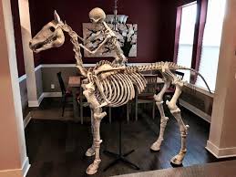 2016 Home Depot Halloween Thread Page 36 Home Depot Halloween Modern Halloween Halloween Skeletons