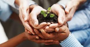 A basic recipe for making your own soil is to use equal volumes of peat moss, coarse vermiculite and compost. How To Prepare Soil For Gardening