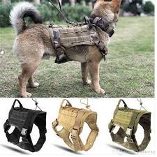 Satin Al Polis K9 Taktik Egitim Kopek Harness Askeri Ayarlanabilir Molle Naylon Yelek Kopek Giyim Tl281 01 Dhgate Comda