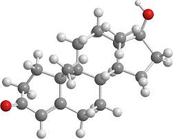 This material is provided for educational purposes only and is not intended for medical advice, diagnosis or treatment. Testosteron Und Seine Auswirkungen Auf Die Mannliche Und Weibliche Fruchtbarkeit Forum Instituto Bernabeu