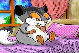 How Long Are Sugar Gliders Pregnant For Pregnant Sugar Bears