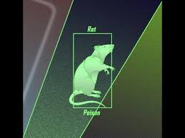 Image result for ratpoison