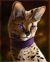 serval by lloryz on deviantart animal art serval warriors erin hunter