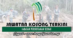 Muzium perhutanan negeri kedah terletak di bawah pentadbiran jabatan perhutanan kedah. Jawatan Kosong Di Jabatan Perhutanan Kedah 21 Jun 2018 Kerja Kosong 2021 Jawatan Kosong Kerajaan 2021