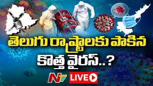 Corona ile ilgili bugünkü son dk haberler ile geçmişten bugüne fotoğraf, video ve tüm haber arşivi için tıklayın. Ntv Corona 2 0 Coronavirus Strain Effect In India Video Social News Xyz
