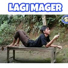 Unik kucing jepang ini membuat ilusi optik yang menggemparkan dunia. 12 Meme Lucu Menipu Mata Ini Bikin Kamu Mikir Dua Kali Brilio Net Line Today