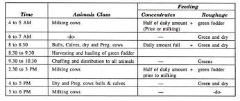 Feeding Regimes For Dairy Animals A Short Guide