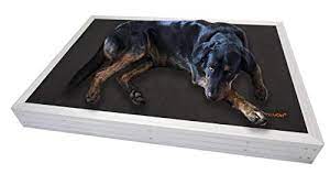 Indestructible dog beds south africa. Top 10 Best Puppy Beds That Won T End Up Shredded In Minutes With Reviews Dogvills