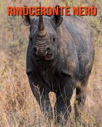 Descargar libros gratis en formatos pdf y epub. Libro El Rinoceronte Libro El Rinoceronte Scott Alexander Zip Mercado Libre El Rinoceronte Zen Ofrece Un Camino Inusual Hacia La Felicidad Keuenorleahno
