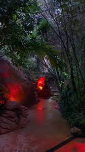 The Lost Spring Whitianga Thermal Pool Day Spa Cafe Follow The Path Through Beautiful Gardens Nz Plant Background Thermal Pool Pineapple Images