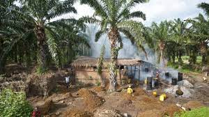Ausgewählte bewertungen zu urlaub burundi. Klimatabelle Burundi Temperatur Beste Reisezeit Wetter