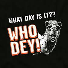 Nfl Cincinnati Bengals Meme Cincinnati Bengals Funny Cincinnati Bengals Bengals Memes