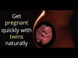 How To Get Pregnant With Twins Naturally How To Have Twins Youtube