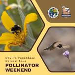 Devil’s Punchbowl Natural Area Pollinator Weekend