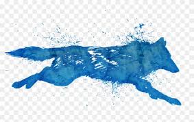 Download wolf images hd free for mobile phones. Drawing Black And White Wolf Hd Png Download 1920x1080 1396528 Pngfind