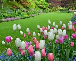 Check spelling or type a new query. Butchart Gardens Victoria A Treasure Of Canadian Gardening
