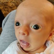 Lily Donovan (@ll_donovan)