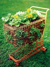 Ghim Của Jussania Porcher Tren Garden Vườn Trong Chậu Cay Cối Thiết Kế Vườn