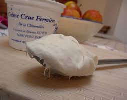 All About Normandy Cream La Creme De La Creme Paris By Mouth Creme Calvados Traditional Food
