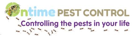 Most active in the summer, wasps can be a real distressing pest we provide free quotes and surveys, that will allow us to find the nest or source of the wasp infestation. Nest Removals Bird Nest Removals Wasp Bee Nest Remoavals West London Twickenham Kingston London