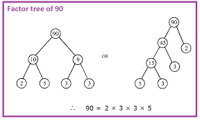 Supose you want to find the factor tree of 32. Prime Factors How To Find Prime Numbers With Examples