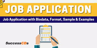 What was done in the past predicts what will be done in the future. Job Application Job Application With Biodata For Class 12 Format Topics Examples