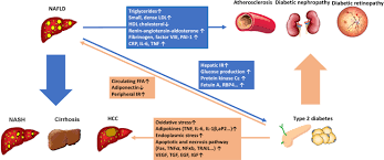 Mar 09, 2021 · we at diabetesmine have long been sensitive to labels. Frontiers Nafld And Diabetes Two Sides Of The Same Coin Rationale For Gene Based Personalized Nafld Treatment Pharmacology